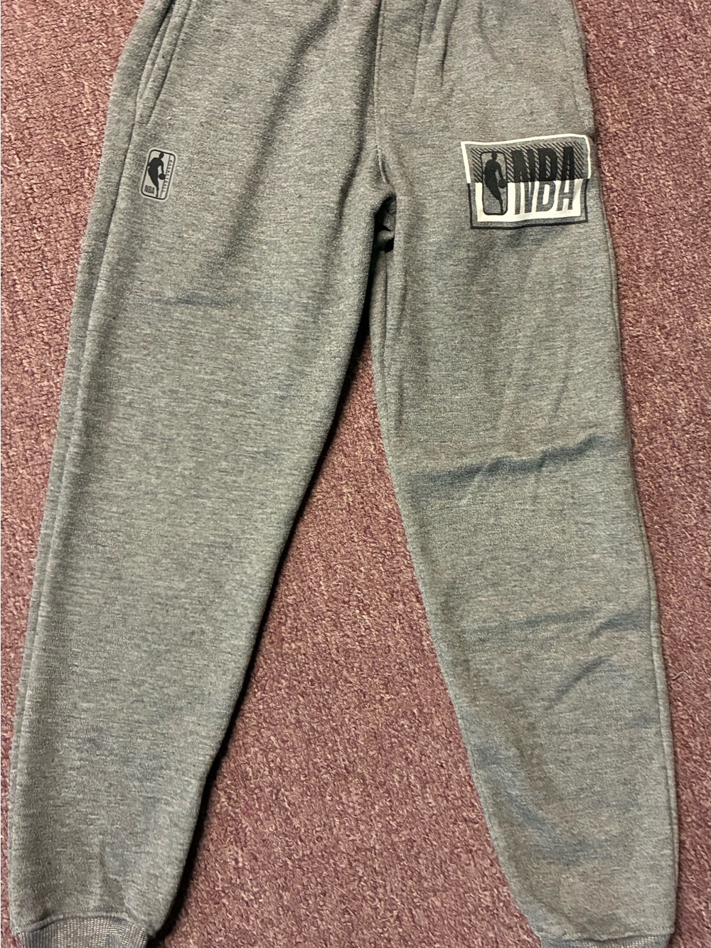 NBA Kids Gray Logo Fleece Joggers